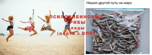 прущая мука Рославль