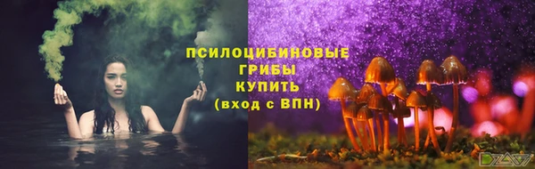 дживик Дедовск