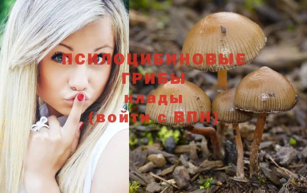 молекула духа Россошь